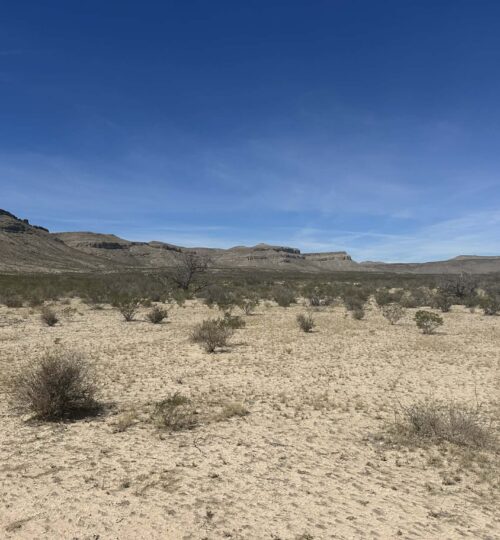 10 Acres of Freedom – No Zoning, Just Wide-Open West Texas