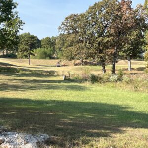 Downpayment for 800-04011-000 - Trade Your Car for a Golf Cart — Your Easy Life Awaits