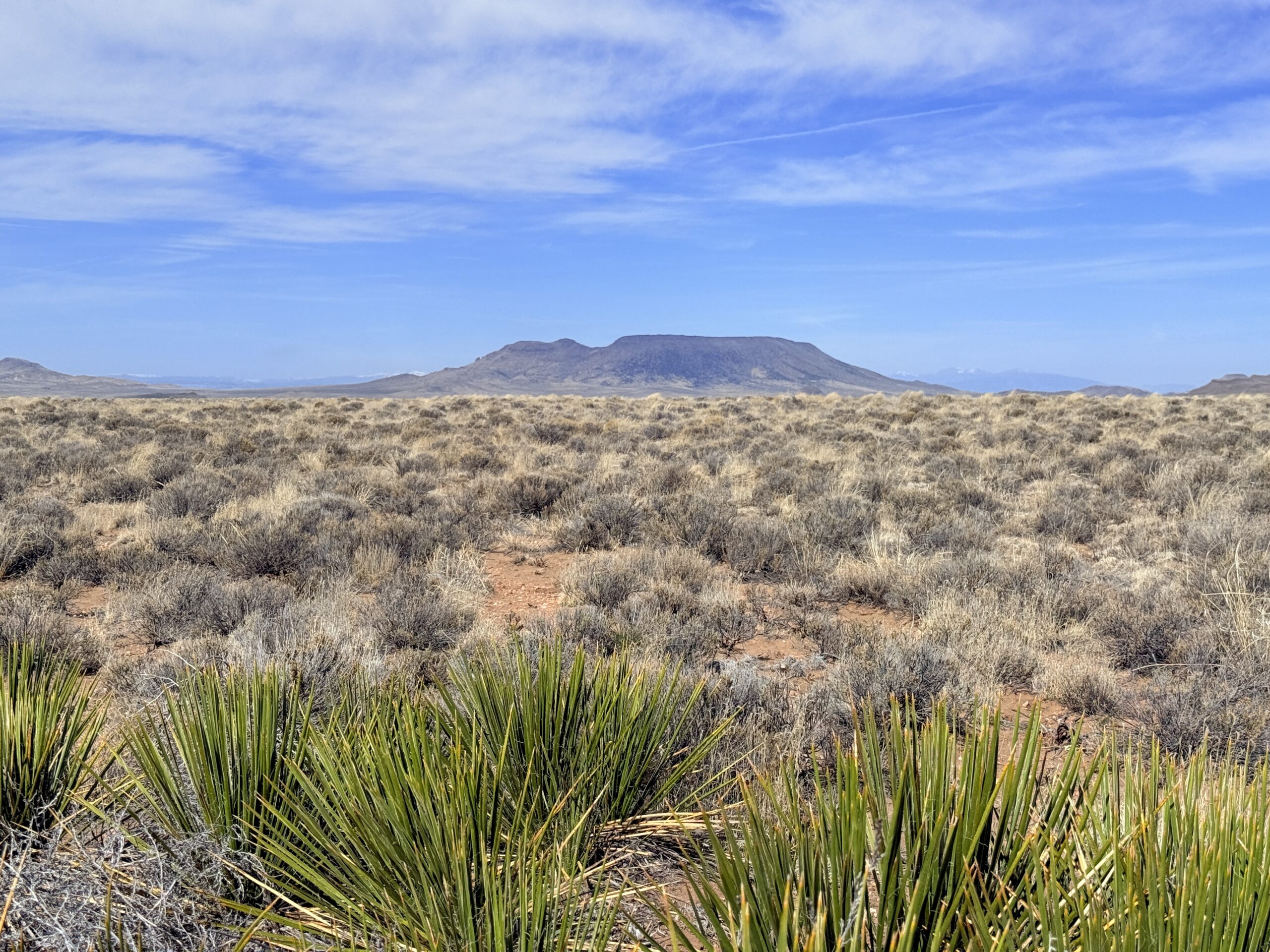 Downpayment for 71556890A - Camp, Build, or Relax on 5 CO Acres – Drive-Up Access & Stunning Views