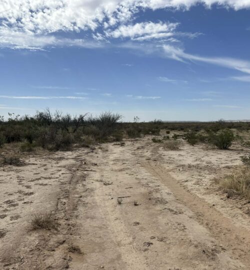 Off-Grid Dream Land East of Van Horn – 11.8 Acres, No Rules