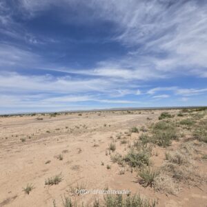 Downpayment for 6134 - 5 Acres with Mountain Views Near Van Horn, TX