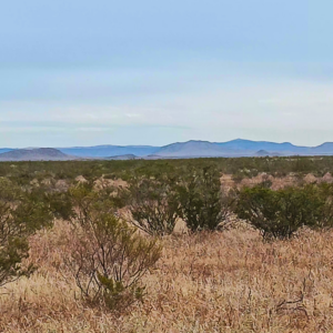 Downpayment for 8300 - Southwest Sunsites | 11+ Acres | Culberson County