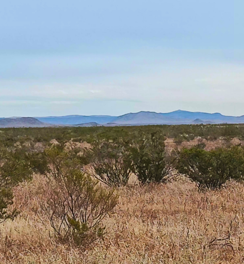 Southwest Sunsites | 11+ Acres | Culberson County