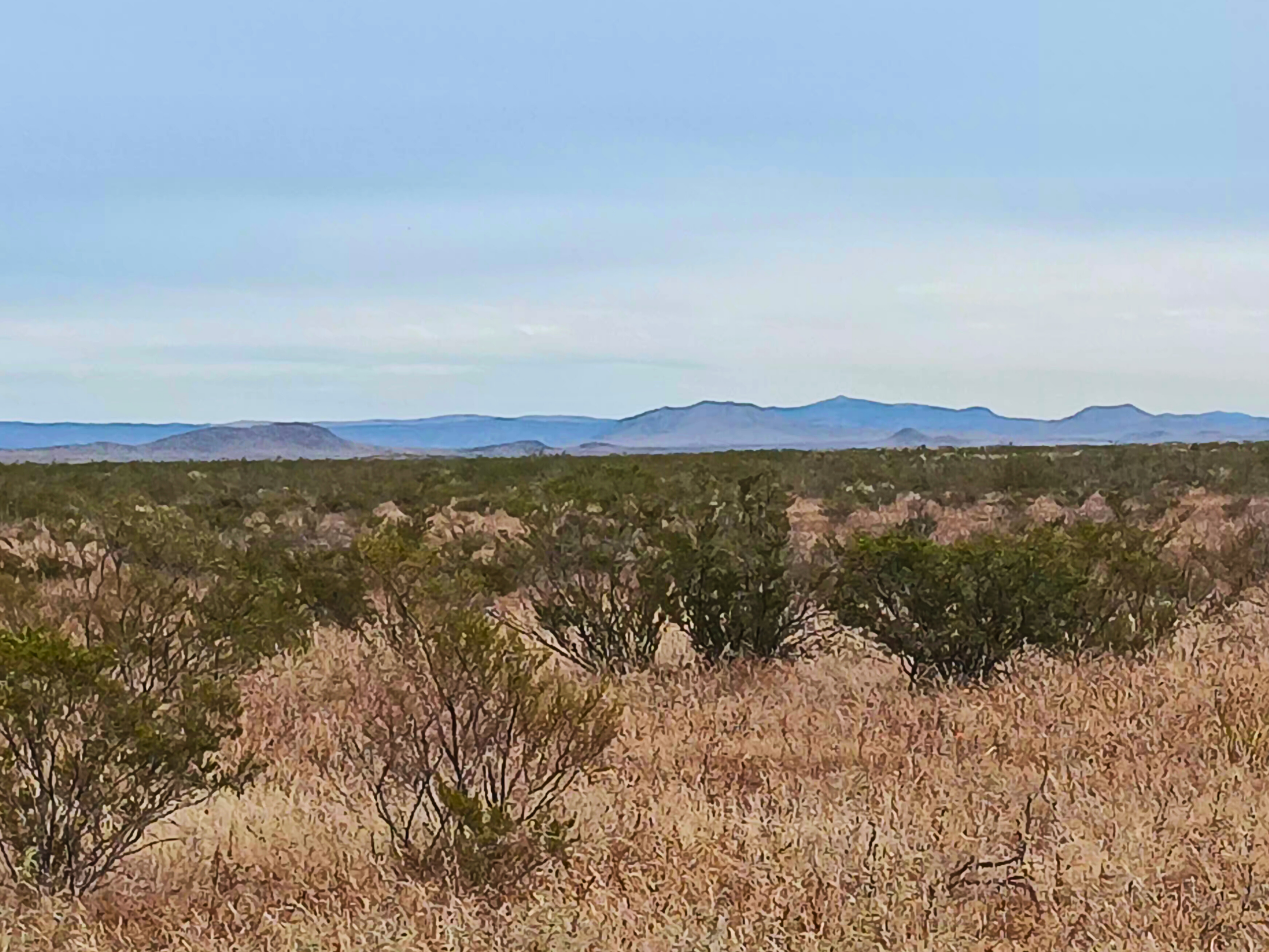 Downpayment for 8300 - Southwest Sunsites | 11+ Acres | Culberson County