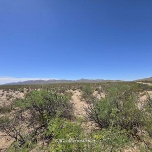 Downpayment for R66720 - 20 Acre Texas Ranch with Power Nearby & Easy Access