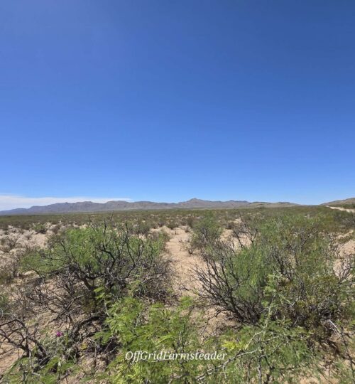 20 Acre Texas Ranch with Power Nearby & Easy Access