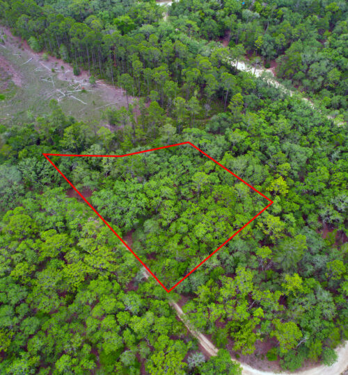 Nature in Florida! 0.44 Acre Buildable Lot