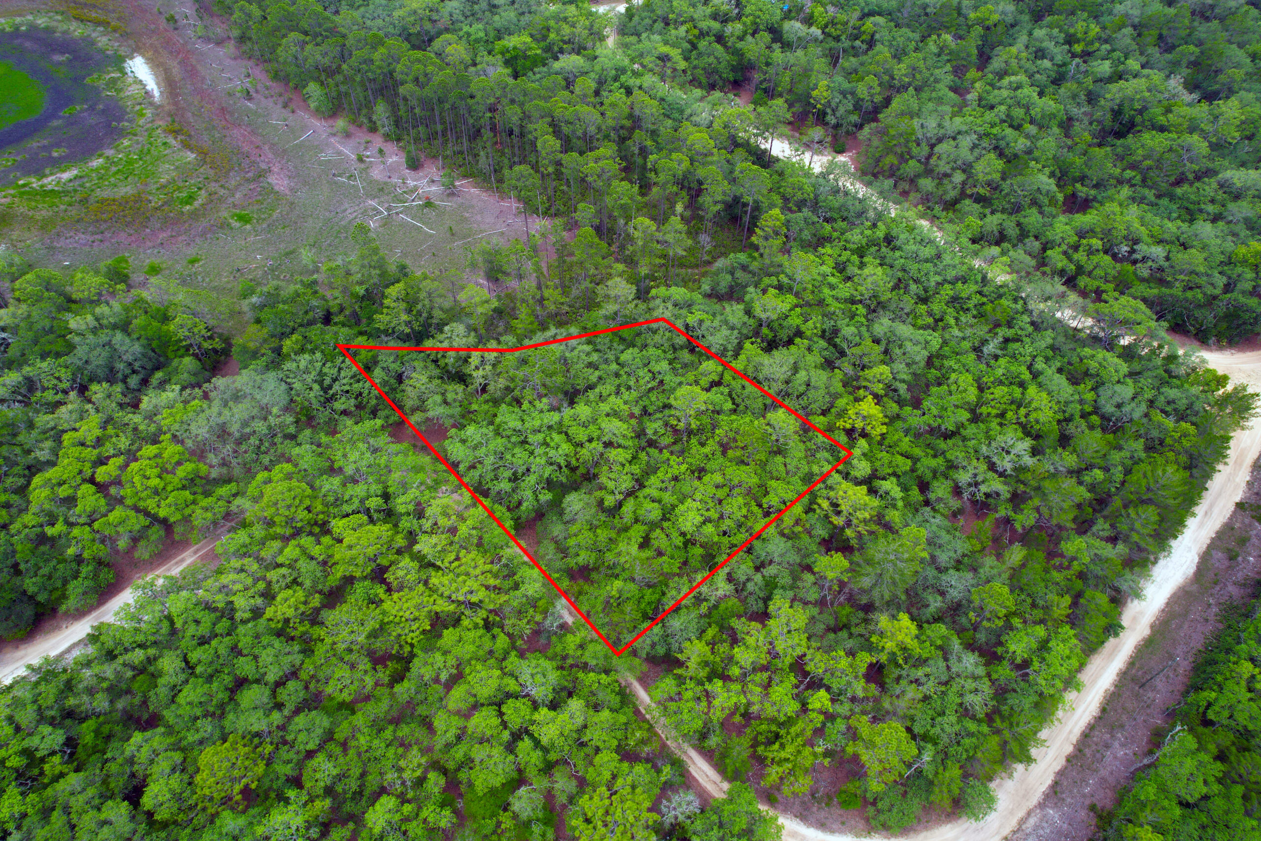 Downpayment for 23-10-24-4062-0040-0190 - Nature in Florida! 0.44 Acre Buildable Lot