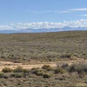 Downpayment for 71509483 - Your Colorado Basecamp: 5 Acres Beneath the Sangre de Cristos