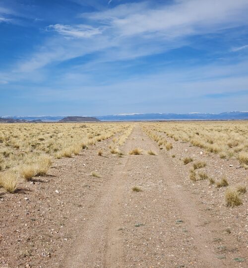 5 Acres in Mount Blanca Valley Ranches