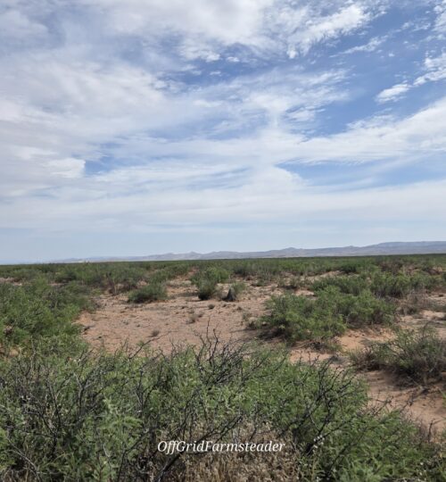 Gateway to West Texas Adventure