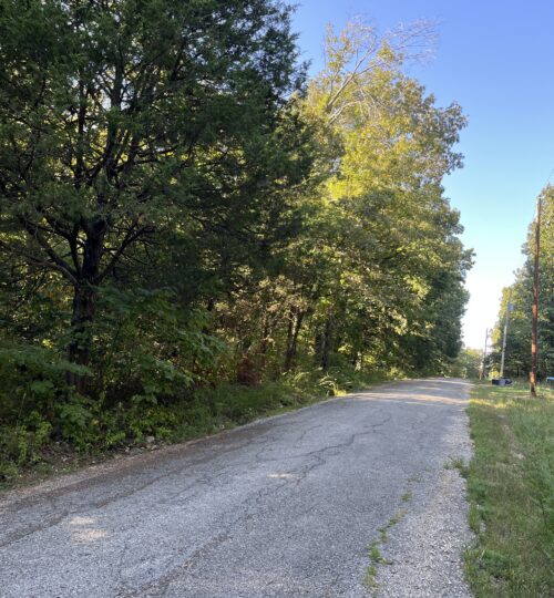 Level Lot Near Vagabond Lake