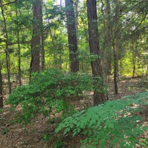 Downpayment for R000032297 - Cul-de-Sac Privacy + Walk to the Lake