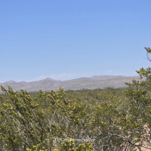 Downpayment for AB 5317 - JV - (3) 10 Acre Parcels - Close to Guadalupe Mountains Access