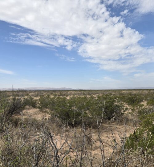 Off-Grid Dream Land East of Van Horn – 11.8 Acres, No Rules