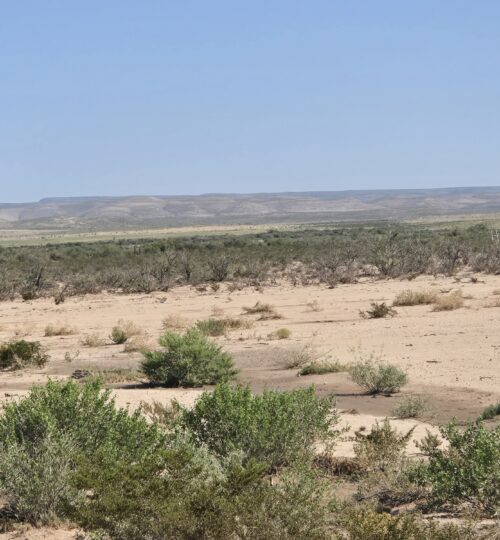 11.4 Acres Near Van Horn — Easy Access, Flat & Buildable