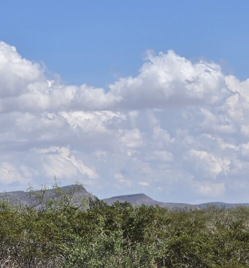 Southwest Sunsites | 20 Acres | Hudspeth County, TX